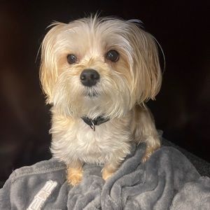 Meet your Posher, Catherine